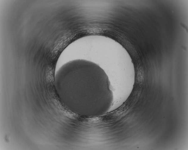 X0000103950411200810311554