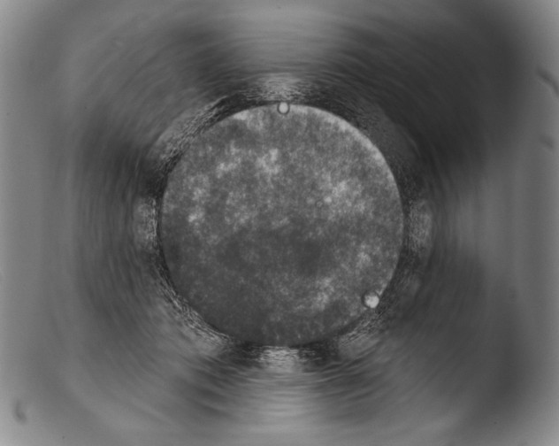 X0000103950413200810311554