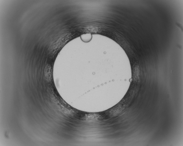 X0000103950414200810311554