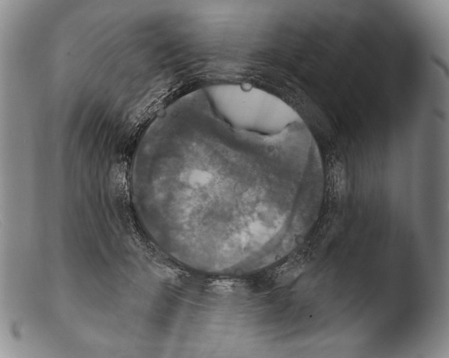 X0000103950415200810311554