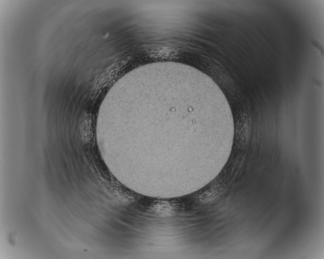X0000103950416200810311554