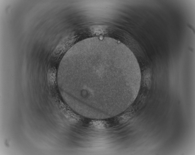X0000103950417200810311554