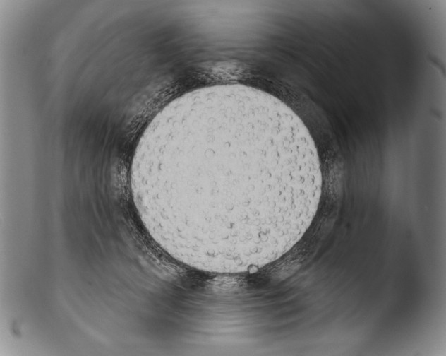 X0000103950418200810311554