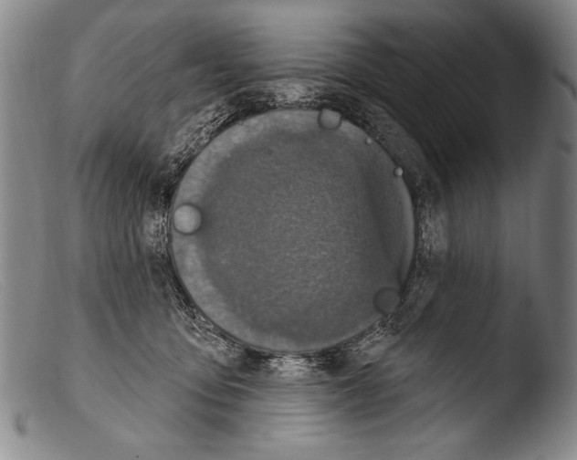 X0000103950419200810311554
