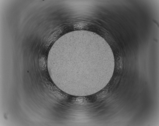X0000103950420200810311554