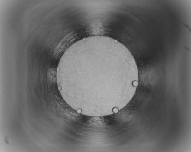 X0000103950421200810311554