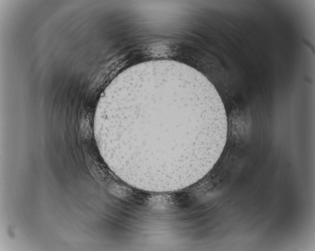 X0000103950422200810311554