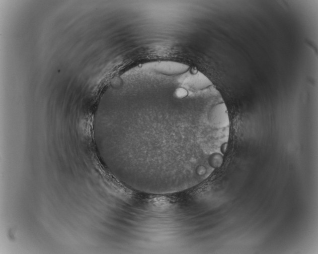 X0000103950423200810311554