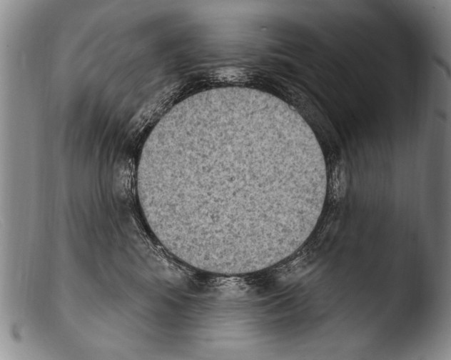 X0000103950424200810311554
