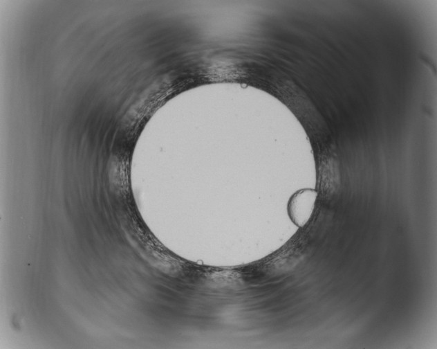 X0000103950426200810311554