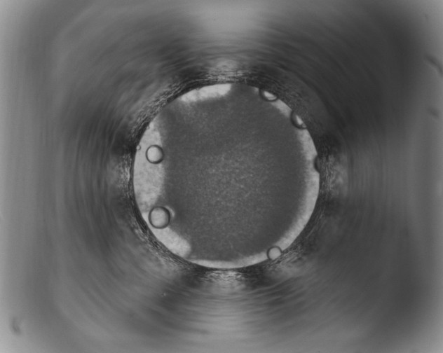 X0000103950427200810311554