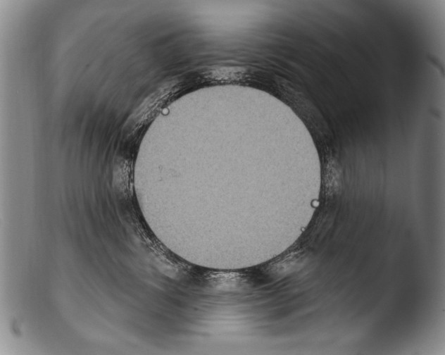 X0000103950428200810311554