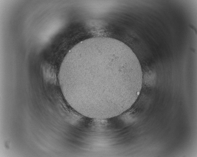X0000103950429200810311554