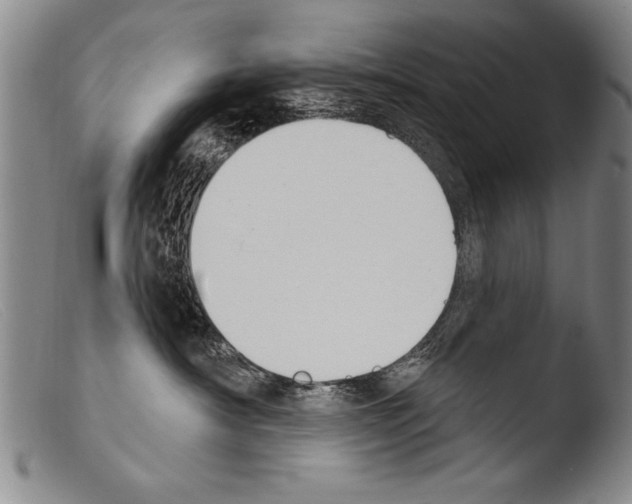 X0000103950430200810311554