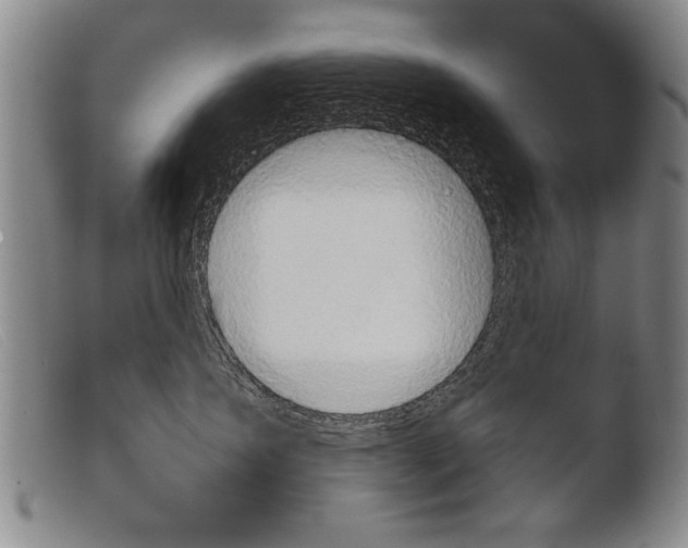 X0000103950431200810311554