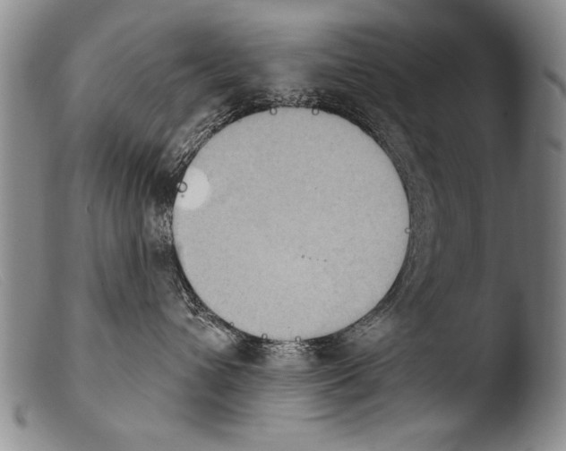 X0000103950432200810311554