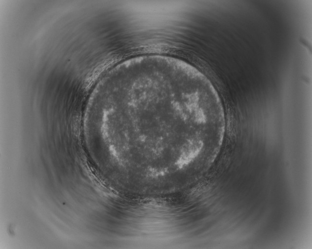 X0000103950434200810311553