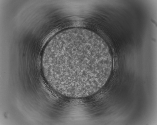 X0000103950435200810311553