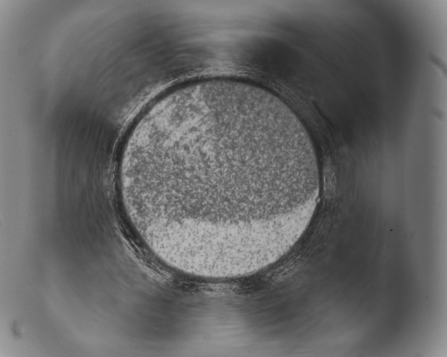 X0000103950436200810311553