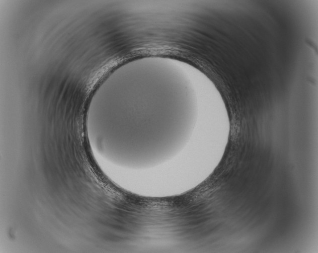 X0000103950438200810311553