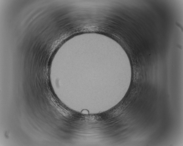 X0000103950439200810311553