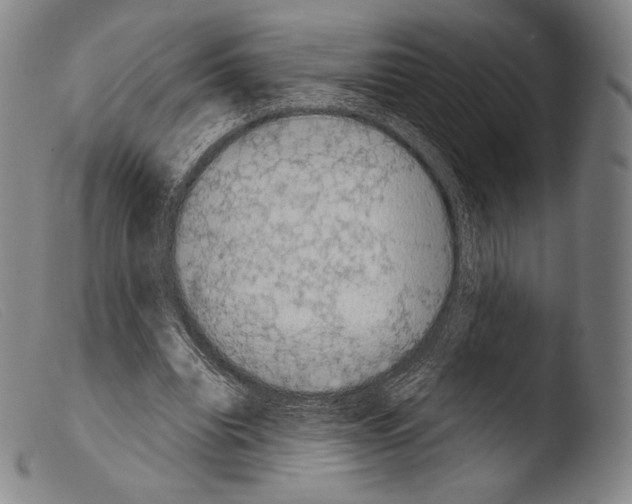 X0000103950440200810311553