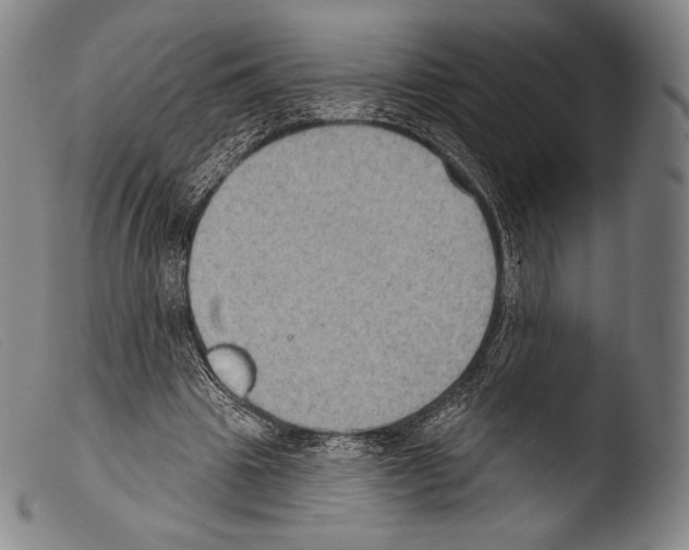 X0000103950441200810311553