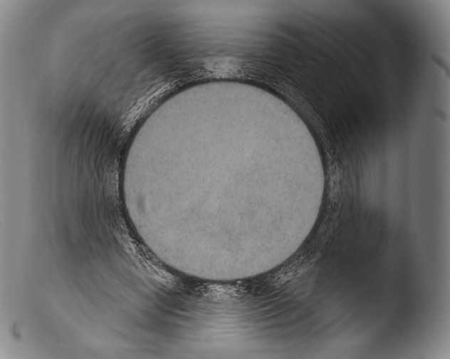 X0000103950442200810311553
