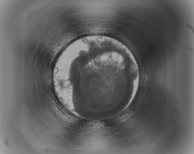 X0000103950443200810311553