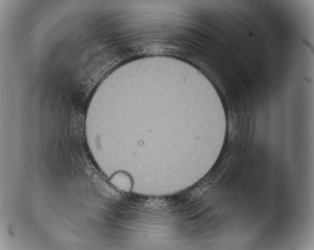X0000103950445200810311553