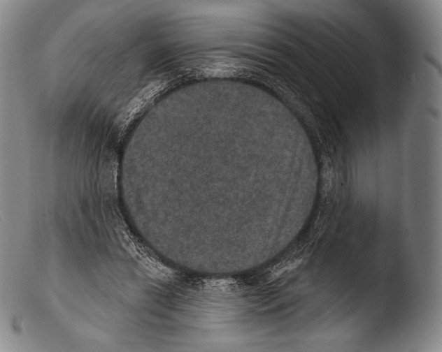 X0000103950446200810311553