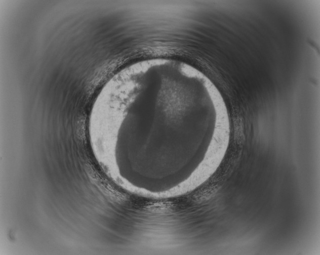 X0000103950447200810311553