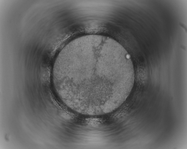 X0000103950448200810311553