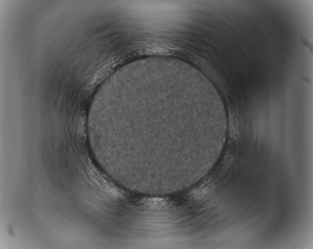 X0000103950449200810311553