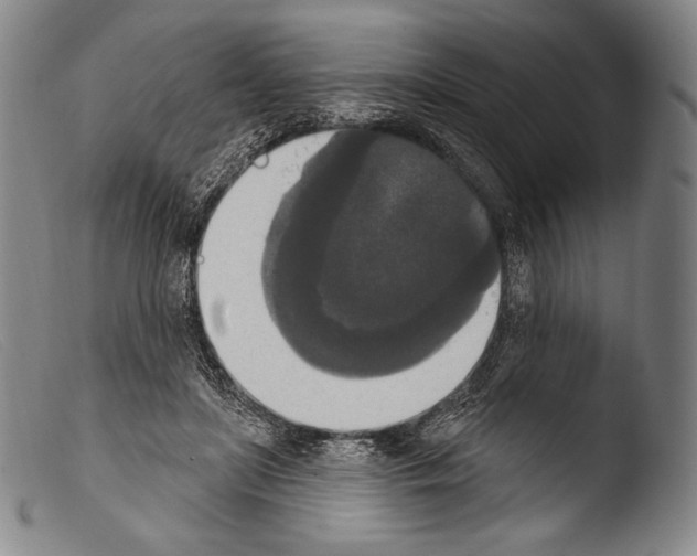 X0000103950451200810311553