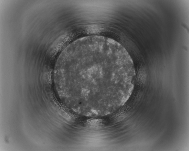 X0000103950452200810311553