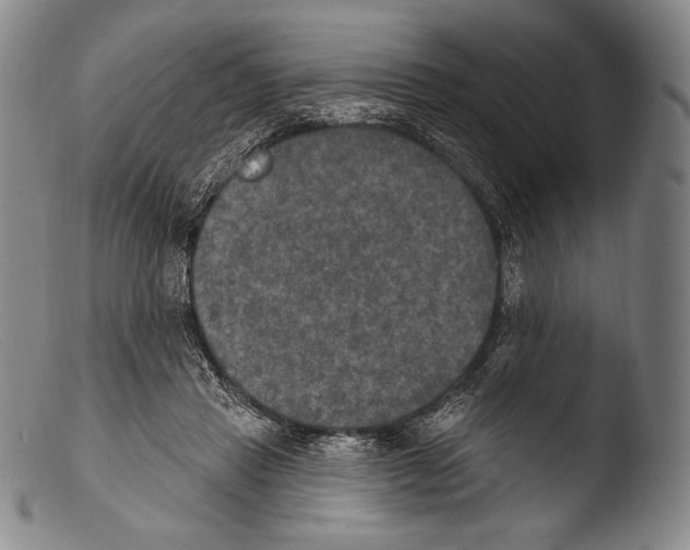 X0000103950453200810311553