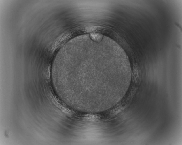 X0000103950454200810311553
