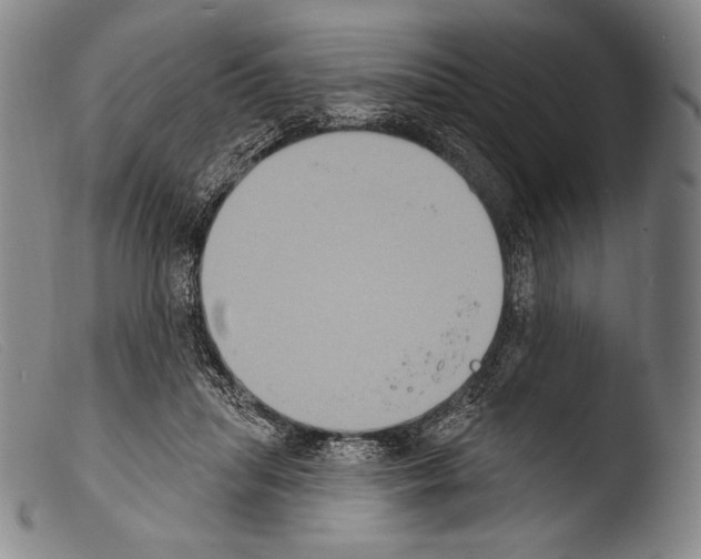X0000103950455200810311553
