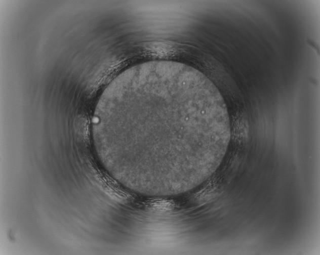 X0000103950456200810311553