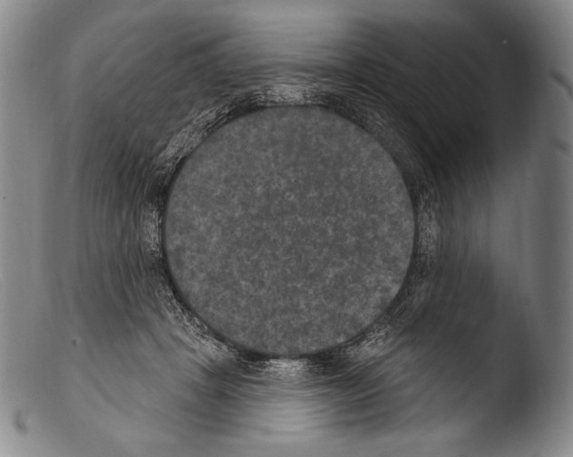 X0000103950457200810311553