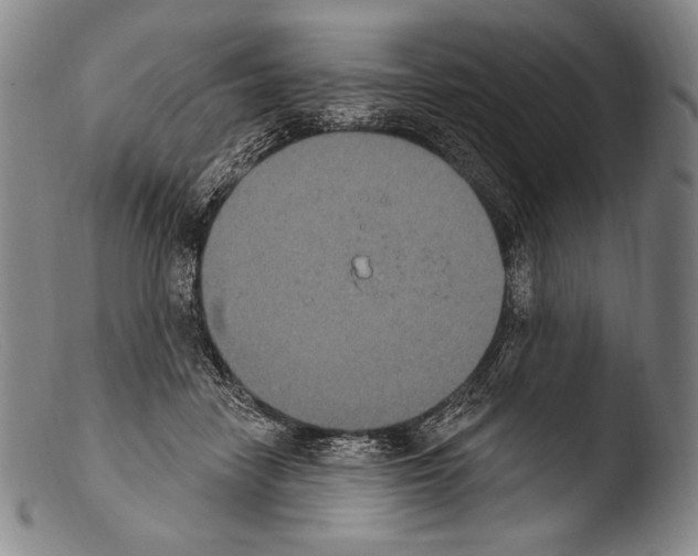 X0000103950458200810311553