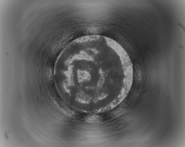 X0000103950459200810311553