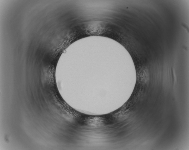 X0000103950460200810311553