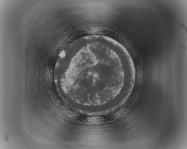 X0000103950461200810311553