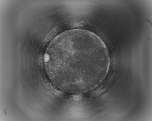 X0000103950462200810311553