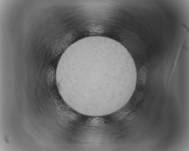 X0000103950463200810311553