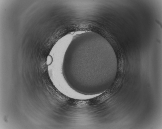 X0000103950465200810311553