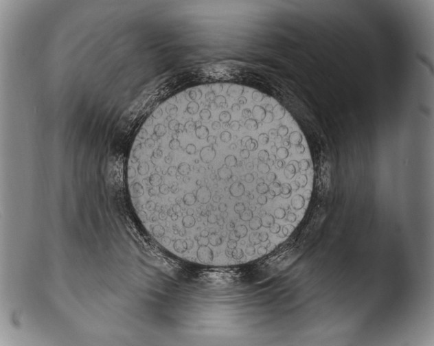 X0000103950466200810311553