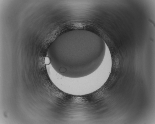 X0000103950467200810311553